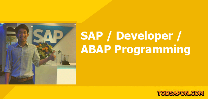ABAP Code:How to set default value in select option for ABAP query