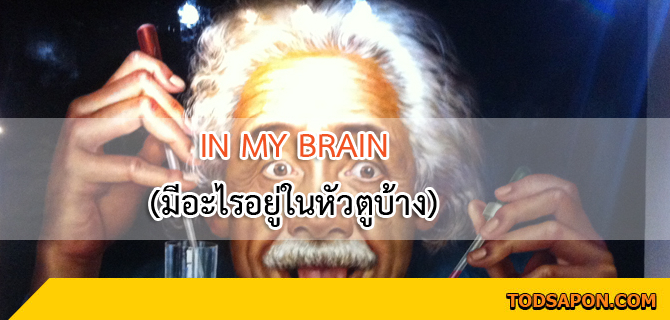 IN MY BRAIN (มีอะไรอยู่ในหัวตูบ้าง) นั่งนิ่ง ๆ แล้วคิดถึงตัวเอง